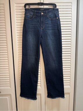 Judy Blue Frayed Hem Straight Denim Jean